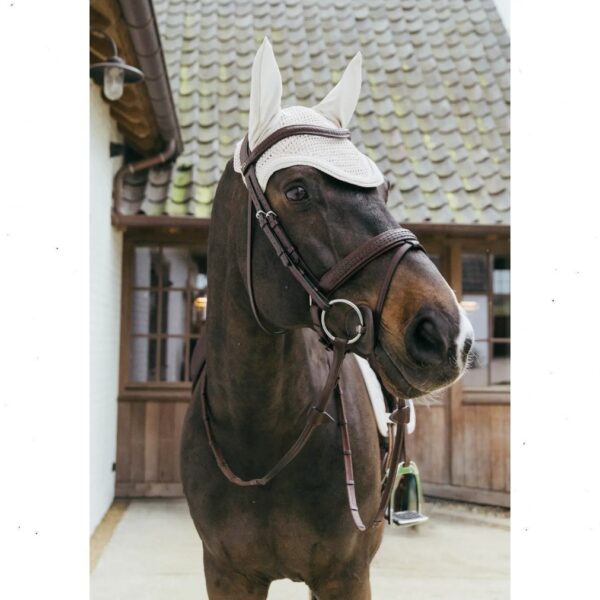 Kentucky kõrvad WELLINGTON PLAITED CORD - Image 3