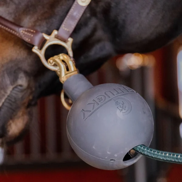 Kentucky pall RUBBER BALL PROTECTION WALL & LEAD - Image 6