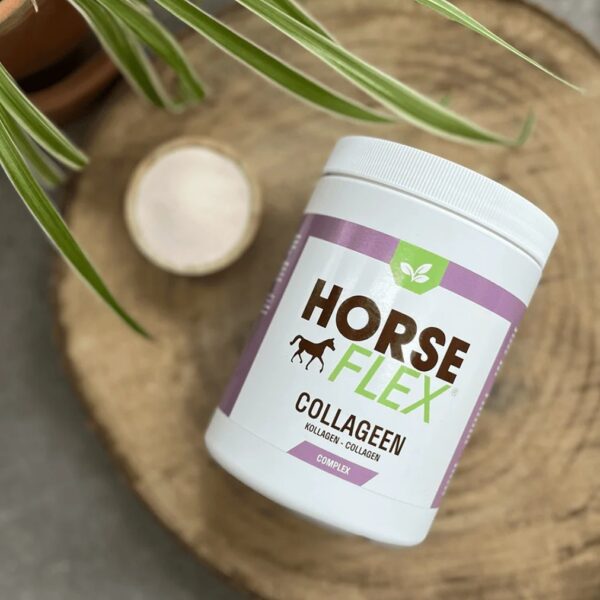 Horseflex kollageen COLLAGEN COMPLEX - Image 3