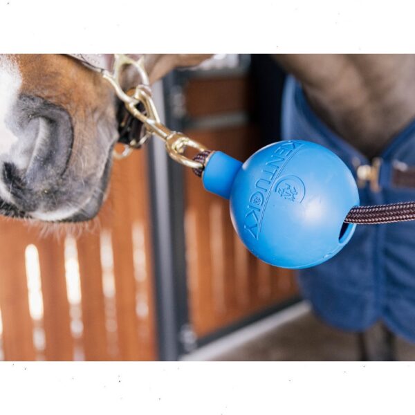 Kentucky pall RUBBER BALL PROTECTION WALL & LEAD - Image 4