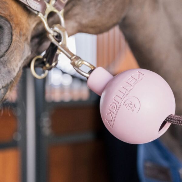 Kentucky pall RUBBER BALL PROTECTION WALL & LEAD - Image 3