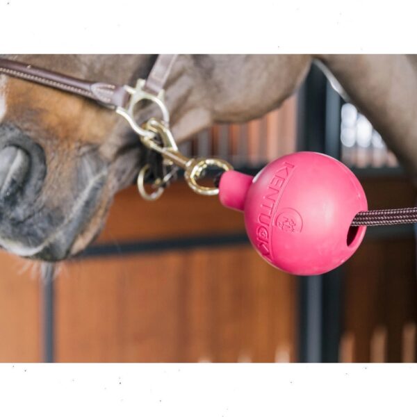 Kentucky pall RUBBER BALL PROTECTION WALL & LEAD - Image 2