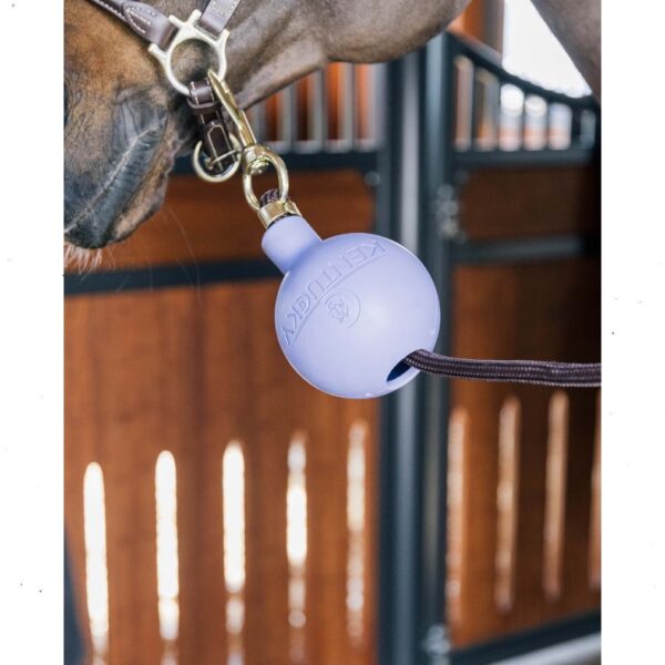 Kentucky pall RUBBER BALL PROTECTION WALL & LEAD - Image 5
