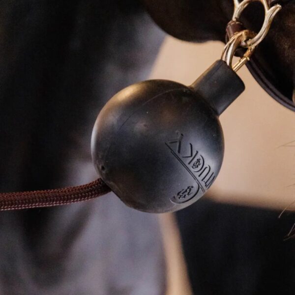 Kentucky pall RUBBER BALL PROTECTION WALL & LEAD - Image 1
