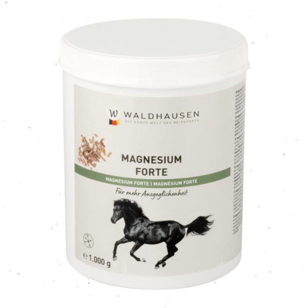 Waldhausen MAGNESIUM FORTE 1KG