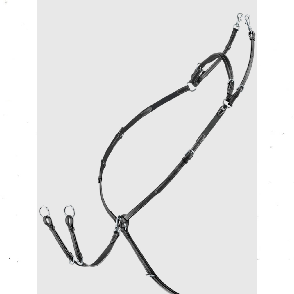 Equiline rinnarihm-martingal