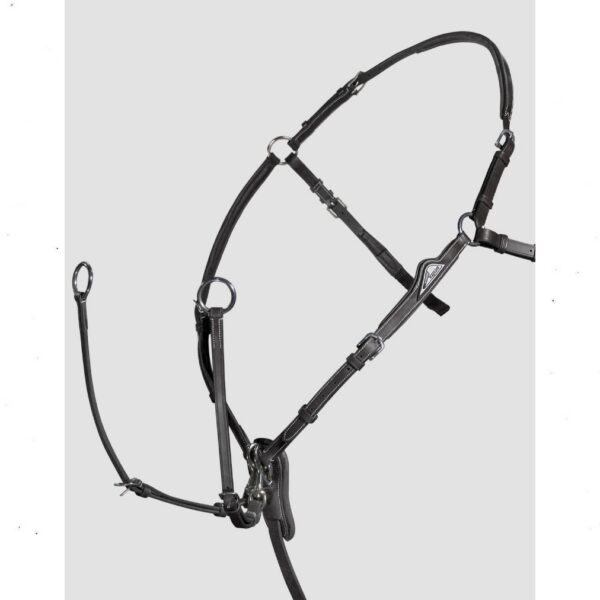 Equiline rinnarihm-martingal