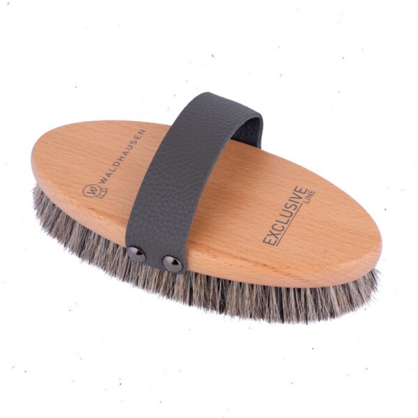 Waldhausen hari EXCLUSIVE LINE GROOMING BRUSH