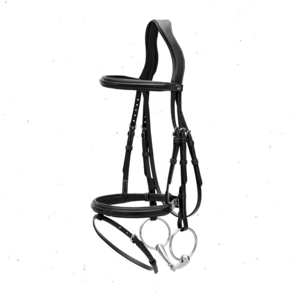 Dyon ristkapsliga valjad FLASH (US Jumping)