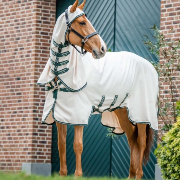 Rambo putukatekk HOODY