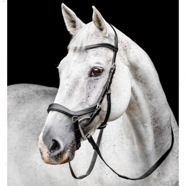 Horseware valjad MICKLEM COMPETITION BRIDLE