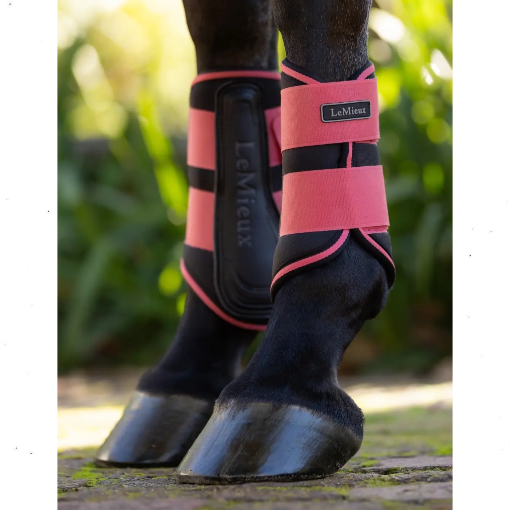 LeMieux riivlemiskaitsmed GRAFTED BRUSHING BOOTS