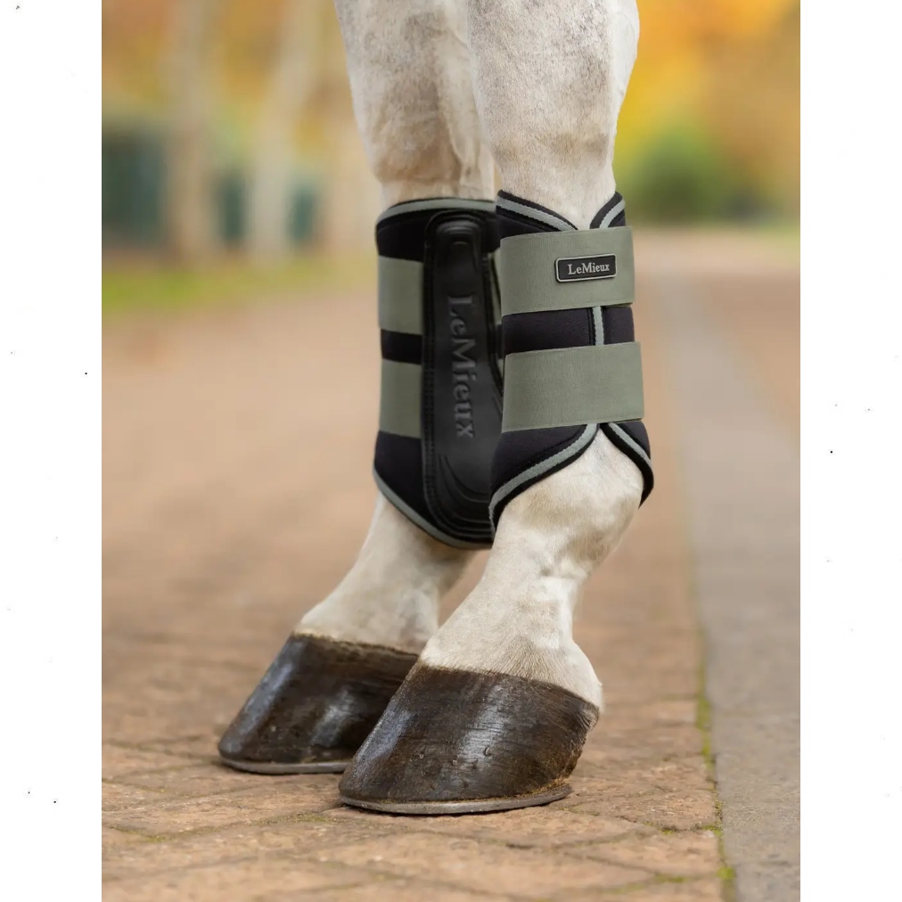LeMieux riivlemiskaitsmed GRAFTED BRUSHING BOOTS