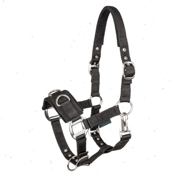 Waldhausen kordepäitsed ECONOMIC LUNGING HALTER